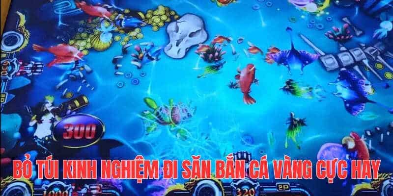 Chia sẻ bí kíp bắn cá vàng thắng lớn từ chuyên gia