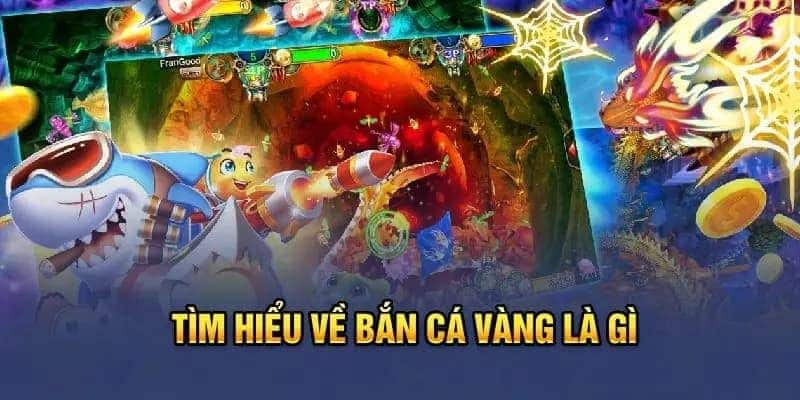 Sơ lược một vài thông tin chung về săn cá vàng