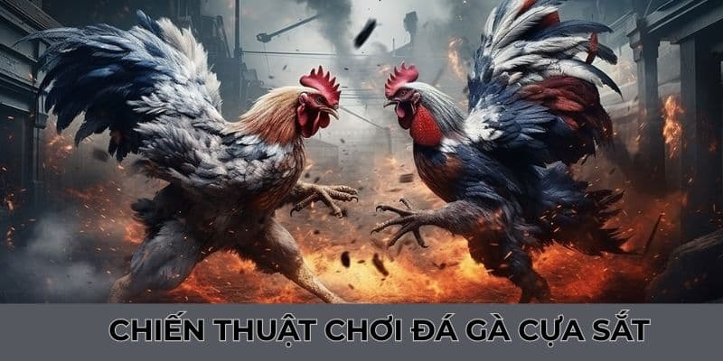 Chia sẻ tips mẹo chơi đặt cược tuyệt đỉnh từ chuyên gia