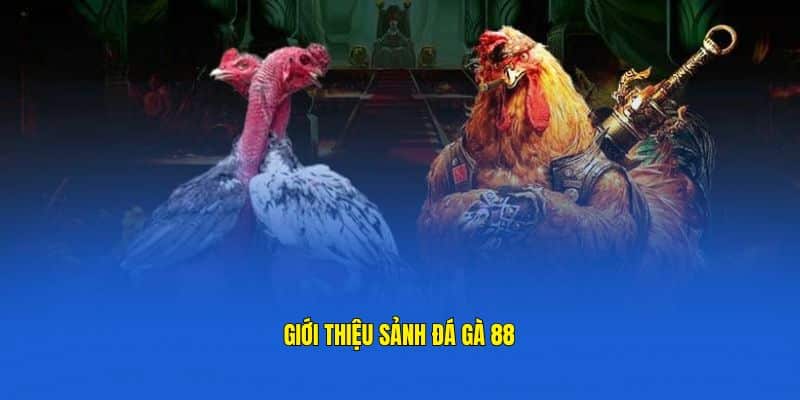 Đá gà 88 là một sảnh cược vừa mới được ra mắt