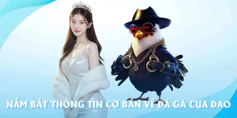 Sơ lược một vài thông tin chung về chọi kê cựa dao