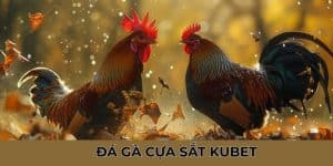 Đá Gà Cựa Sắt KUBET - Chiêm Ngưỡng Trận Chiến Khốc Liệt