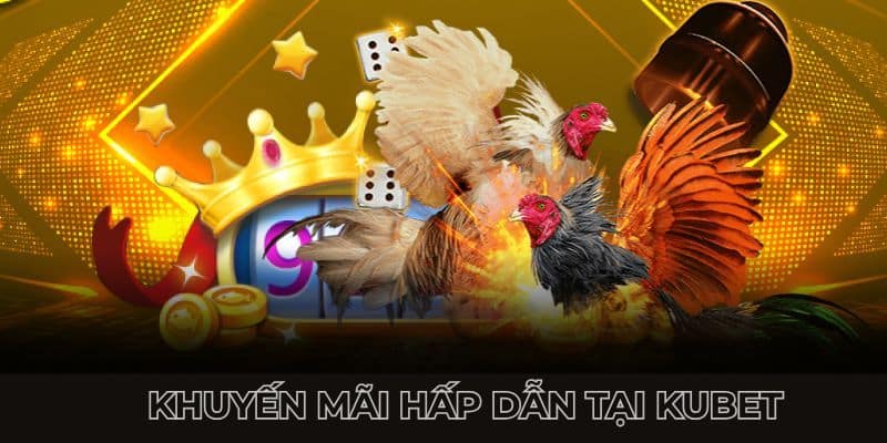 Hé lộ chương trình ưu đãi dành riêng cho thành viên tham gia cá cược đá gà