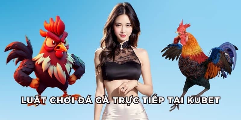 Hệ thống luật chơi đá gà qua mạng