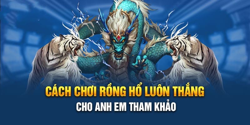 Bí quyết chơi Rồng Hổ Kubet luôn thắng
