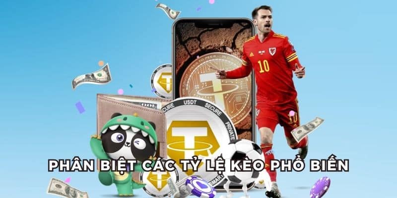 Biết cách phân biệt các dạng kèo phổ biến